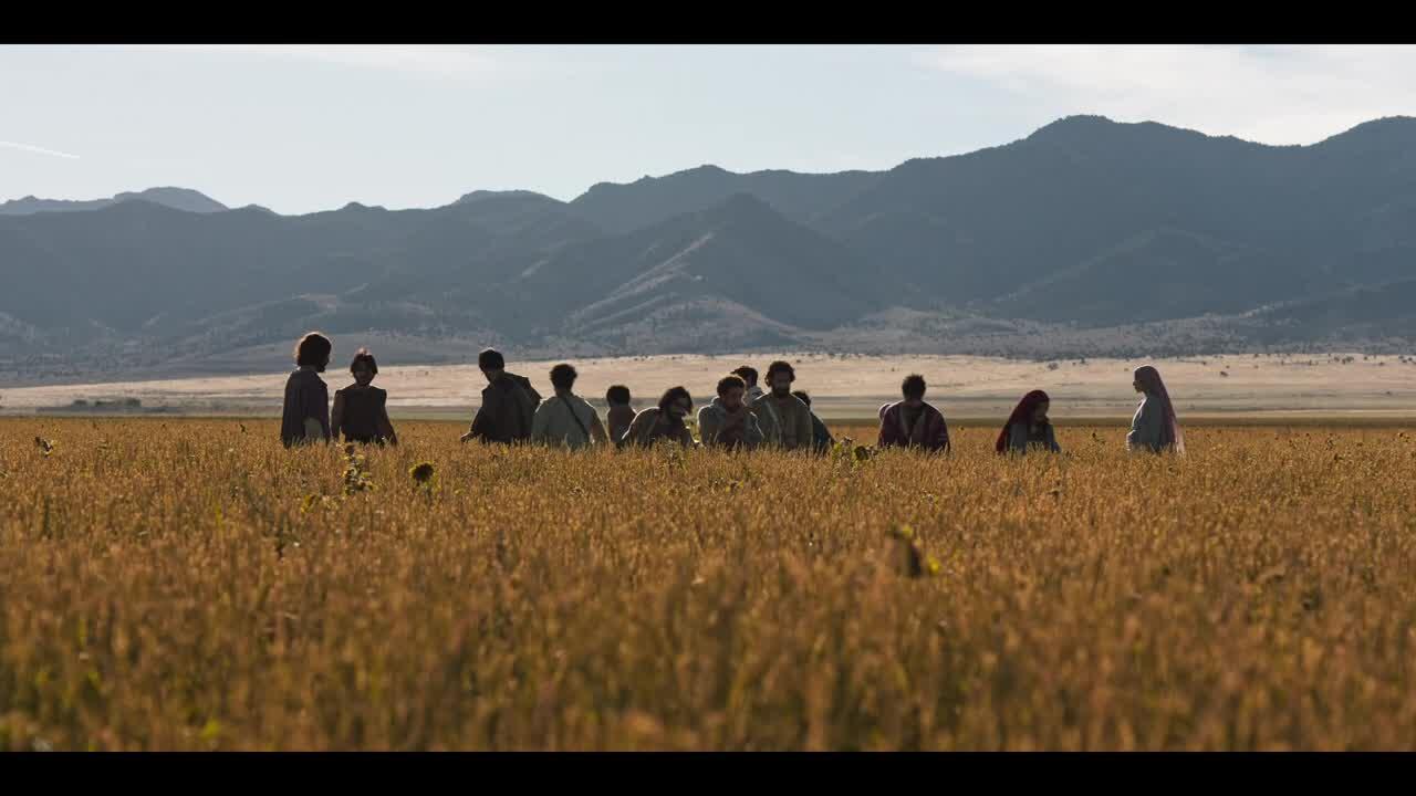 EP206 - Jesus Declares Himself Lord of Sabbath.jpg