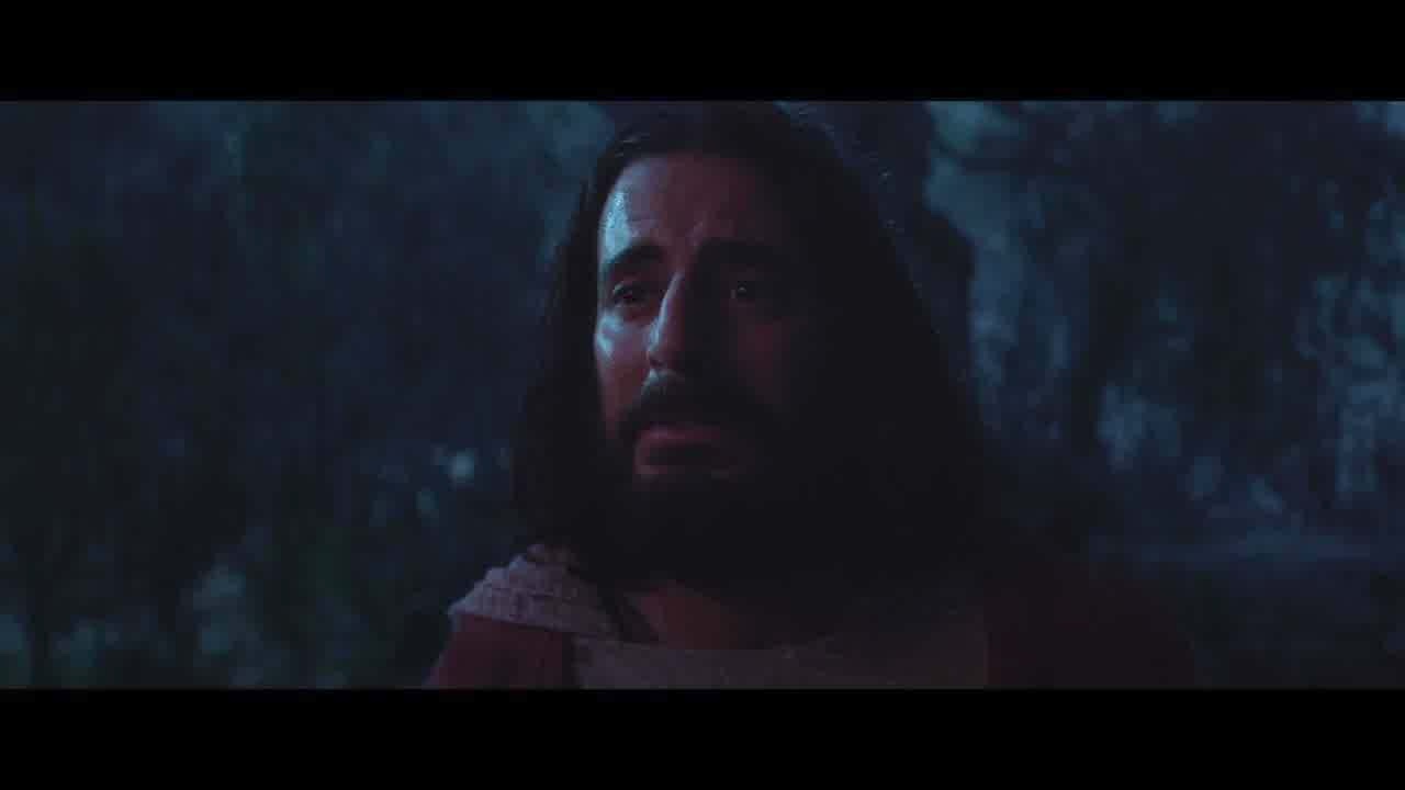 704209e2-06d2-45de-8fd6-afe495162b32